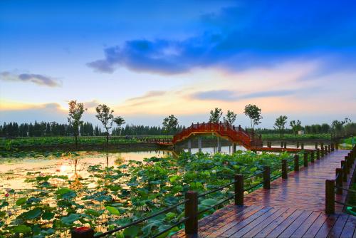 南京市高淳區國際慢城.固城湖生太景區.jpg